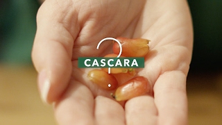 What is cascara [upl. by Chimene468]