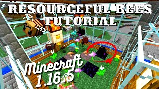 Resourceful Bees Tutorial  Minecraft 1165 [upl. by Ainnet315]