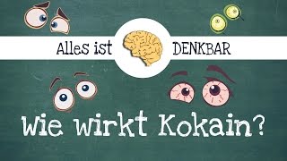 Wie wirkt Kokain [upl. by Ylas]