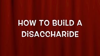 How to Build a Disaccharide [upl. by Mezoff]