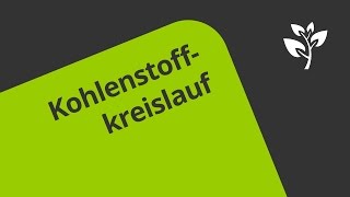 Der biologische Kohlenstoffkreislauf  Biologie  Ökologie [upl. by Ahsaela]