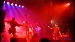 Shellac  Phoenix Festival  Warwickshire  July 17th 1994 Full Show [upl. by Gusella]