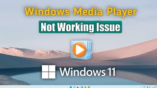 How to Fix All Problems of Windows Media Player in Windows 11 [upl. by Giark]