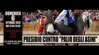 Presidio contro il quotPalio degli asiniquot Alba Cn [upl. by Ymrots]