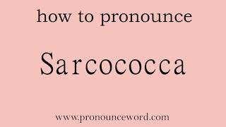 Sarcococca How to pronounce Sarcococca in english correct Start with S Learn from me [upl. by Ihcur]