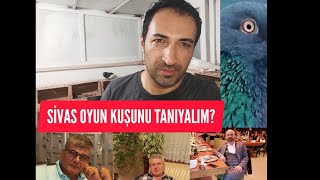 SİVAS OYUN KUŞUNU TANIYALIM Seri 4 [upl. by Radferd]