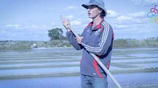 Reportage Métier de Paludier avec Mr GLOAGUEN Pascal  Lieu dit Sissable à Guérande [upl. by Urissa35]