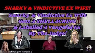 Snarky amp Vindictive Ex Wife Gets A SHELLACKING amp Labelled A Vengeful Ex By The Judge [upl. by Machos]