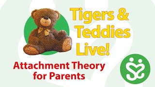 Tigers amp Teddies Live Attachment Theory for Parents [upl. by Schober]