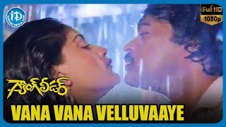 Gang Leader Video Songs  Vana Vana Velluvaaye  Chiranjeevi  Vijayashanti  Bappi Lahari [upl. by Halverson]