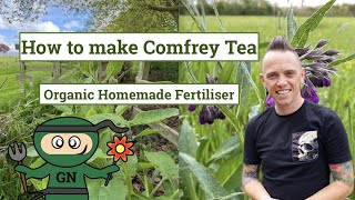 How to make Comfrey Tea Organic Plant Feed for Free [upl. by Rolfston377]