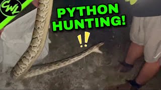 CHOMPED by Wild Python [upl. by Ieluuk16]