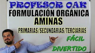 AMINAS PRIMARIAS SECUNDARIAS y TERCIARIAS FORMULACIÓN ORGÁNICA😲 SER un GENIO SIN ESTUDIAR 👌 [upl. by Kemble301]