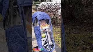 Is Bad Weather Stopping Your Stroller Walks Try the Stroller Rain CoverShorts [upl. by Eliathas]