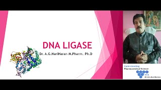 DNA Ligase  Joining of DNA [upl. by Nemhauser]