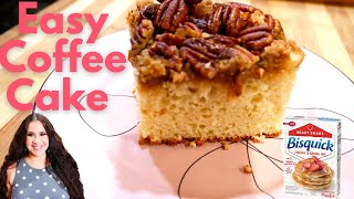 Easy Coffee Cake Original Bisquick Recipe With A Few Twists [upl. by Etnovert]