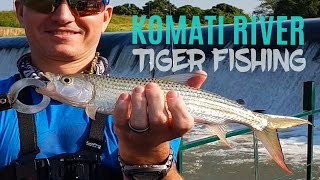 Tiger fishing in the Komati River South Africa Apr 2019 [upl. by Selby]