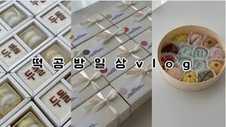 떡공방 브이로그  떡공방 일상ㅣ답례떡 만들고 주방용품 구경하고ㅣ약간의 먹방을 곁들인 👻 [upl. by Jeffcott]