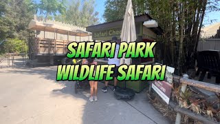 Safari park  San Diego Zoo  wildlife safari tour [upl. by Mikah]