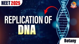 Replication of DNA  Molecular Basis of Inheritance  NEET 2025  srichaitanyagosala [upl. by Ripp]