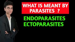 What is meant by parasite  What is ectoparasites and endoparasites  All concepts explained [upl. by Esilenna]