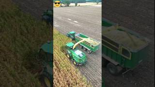 Maize Silage is NO issue for the CLAAS Jaguar 870 Forage Harvester silage2024 ytshorts youtube [upl. by Laflam]