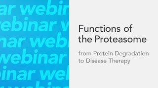 Functions of the Proteasome From Protein Degradation to Disease Therapy [upl. by Aitercul]