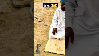 namaz k dauran sanp prayer snake [upl. by Baptiste]