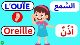 Les cinq sens  french pronunciation  lodorat sens  sens le toucher  أنشودة الحواس الخمسة [upl. by Yate]