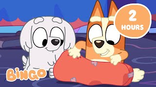 🔴LIVE Bingos Big Adventure 🤩🧡  Get Exploring with Bingo and Bluey 🌎  Bingo [upl. by Bennink]