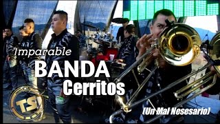 Un Mal Nesesario Banda Cerritos En Vivo [upl. by Enitsirt]