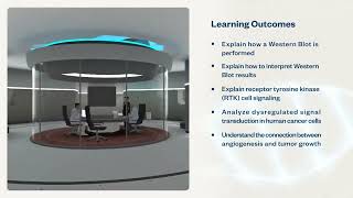 Perform a Dry Western Blot  Virtual Lab [upl. by Stanhope]