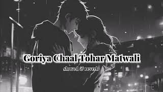 Goriya Chaal Tohar Matwali I Lofi Song I Slowed  Reverb I LOFI DJ [upl. by Marlee]