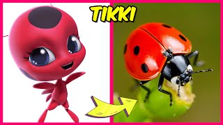 Miraculous Ladybug Kwamis IN REAL LIFE amp Their Favorite Drinks Foods amp More  Tikki Plagg Trixx [upl. by Ahsikyw607]