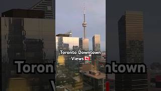 Toronto Downtown Views from Sheraton Centre Hotel 42 Floor CN Tower Rogers Centre toronto canada [upl. by Nylessoj]