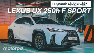 역동적인 디자인과 사운드를 더했다  렉서스 UX 250h F SPORT 리뷰 자동차리뷰시승기 [upl. by Fem]