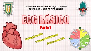 Aprende a interpretar ECG Básico Rápido y Sencillo  Parte 1  GUÍA RESUMIDA [upl. by Danila504]