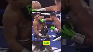 Interesting facts about Vasyl Lomachenko vs Teofimo Lopez shorts boxing new best viral boxer [upl. by Citarella]