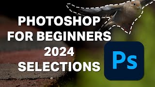 Photoshop for Beginners 2024  Lesson 4  Selections [upl. by Ennazzus]