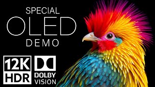 12K HDR Video ULTRA HD 120fps Dolby Vision  Special Oled Demo [upl. by Ahsemik494]