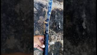 Primitive Snakewood Bow with Fish Skin backing by dharqueria [upl. by Lavotsirc]