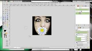 Tuto Gimp 15 La gestion du canevas [upl. by Steere31]