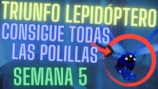 COMPLETA EL TRIUNFO LEPIDÓPTERO  CONSIGUE TODAS LAS POLILLAS DE LA SEMANA 5  DESTINY 2  Ryusuri [upl. by Amik803]