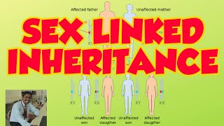 SEX LINKED INHERITANCE  TAMIL EXPLANATION STD 12  LESSON 4  PRINCIPLES OF INHERITANCE [upl. by Lesab]