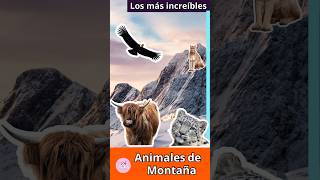 ¡Los más increíbles Animales de Montaña 🏔️🦌🐐 Mountain Animals [upl. by Winther]