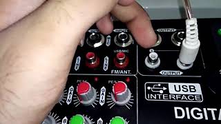 Digital Echo Mixer Review and testing [upl. by Rollin]