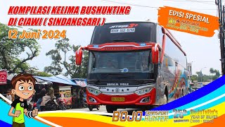 HUNTING SPESIAL SATU DEKADE ADA ROSIN SR3 TRONTON 🤩🤩🤩  Kompilasi Kelima Bushunting di Ciawi  BJTH [upl. by Ahsinauj]