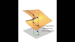 Root Finding by Monodromy Path Tracking [upl. by Teague]