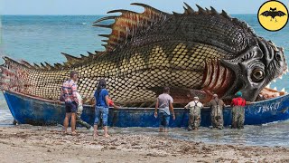 5 Cosas Escalofriantes que los Pescadores Hubieran Deseado no Encontrar [upl. by Notnel]