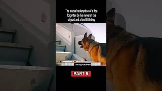 TITLE A Dog Named Palma  PART 9  movie shortflim clips dog shorts viralvideo [upl. by Nylitak307]